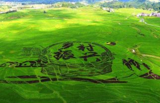 助力乡村振兴、推进合作新模式