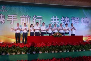 国昌天宇集团债权、债务重组项目