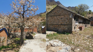 HJC黄金城平台集团受邀前往北京市平谷区核桃洼村就乡村振兴合作项目进行实地考察