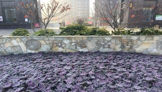 凤祥铭居二期顺利交房，业主喜获新居